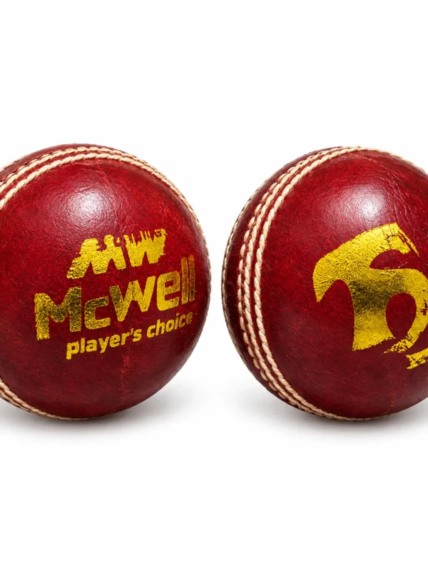 4 Read leather ball t 20 pack of 6 ball