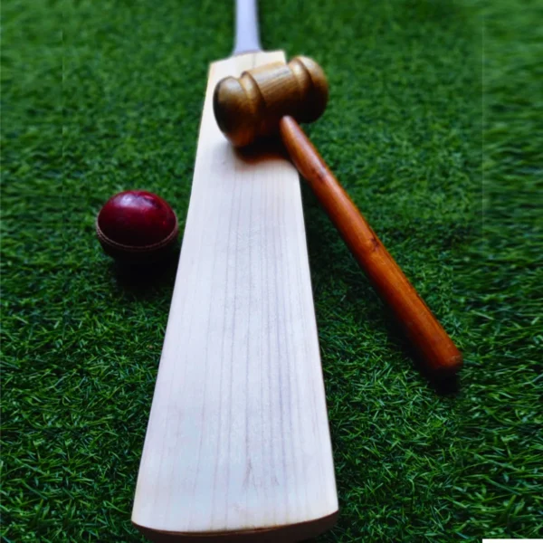 English-willow-Custom-Made-Bat-1 Plain Grade 1 Kashmir Willow Handmade Cricket Bat