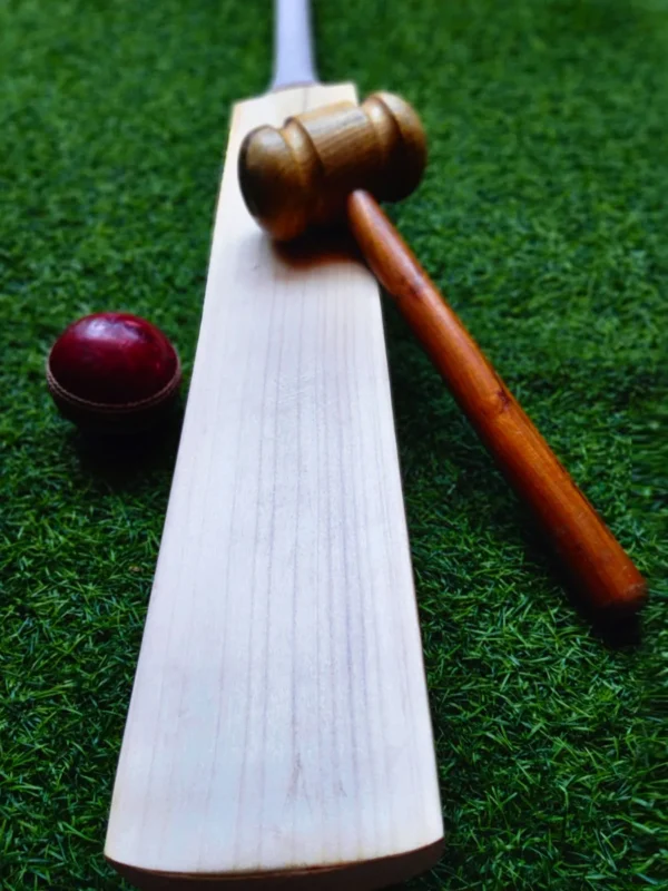 English-willow-Custom-Made-Bat-1 Plain Grade 1 Kashmir Willow Handmade Cricket Bat