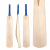 Plain English Willow Cricket Bat with Straight Grains and Short Handle