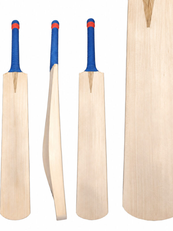 Plain English Willow Cricket Bat with Straight Grains and Short Handle