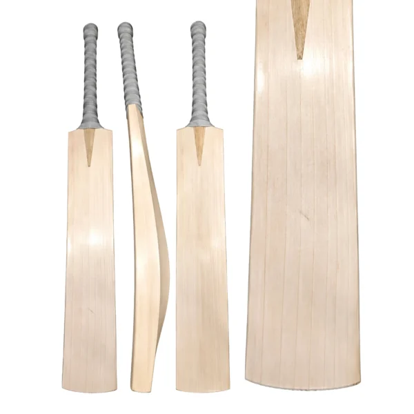 English willow