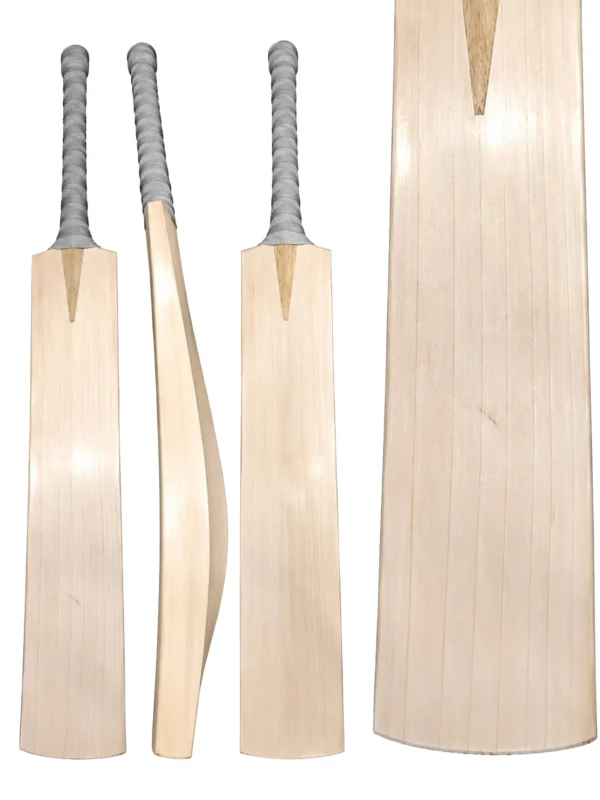 Image 2 English willow