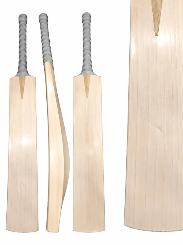 english willow bat