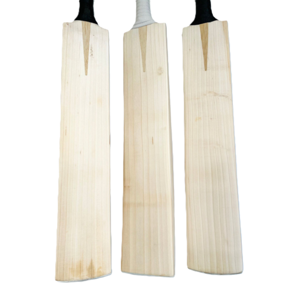 English willow big edge bat