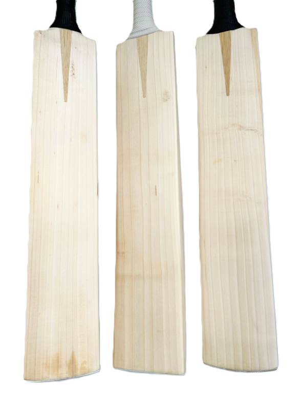 English willow big edge bat